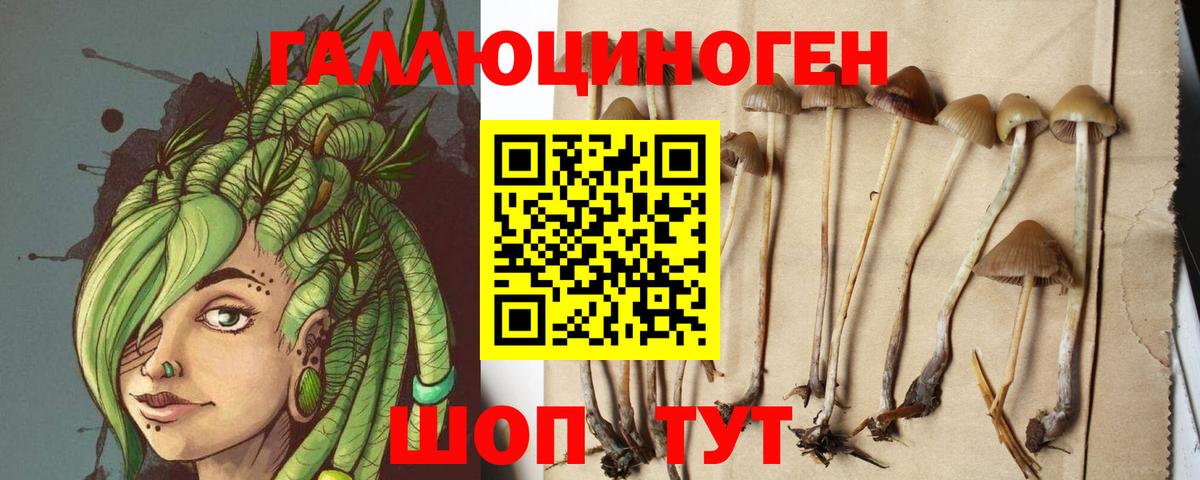 Альфа ПВП СК кристаллы  Вход с VPN  АМФ   КОКАИН  Меф МЯУ МЯУ   Гашиш  МДМА  Великий Устюг  Каннабис  Метадон 
