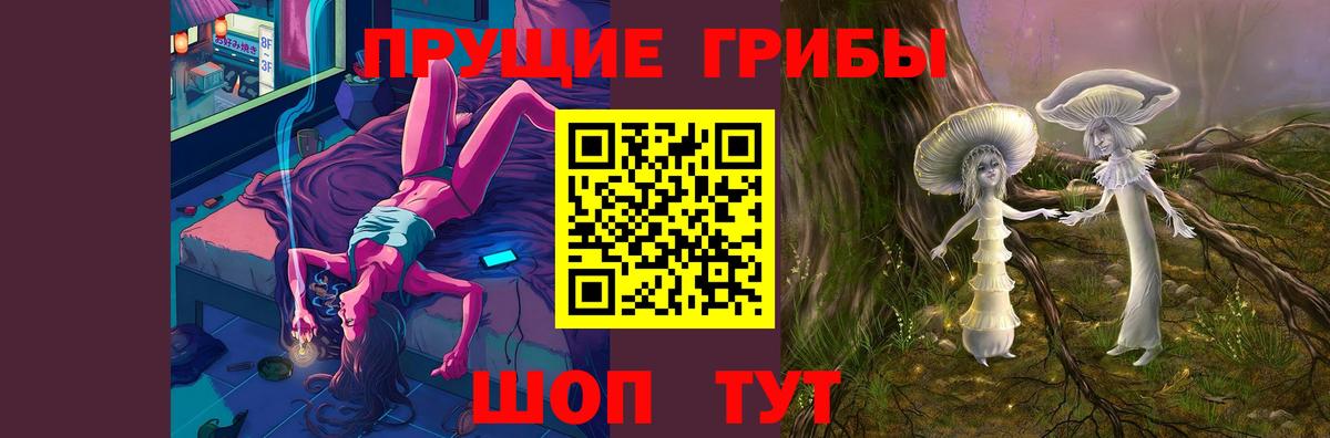 Великий Устюг  Галлюциногенные грибы MAGIC MUSHROOMS  Вход с VPN 