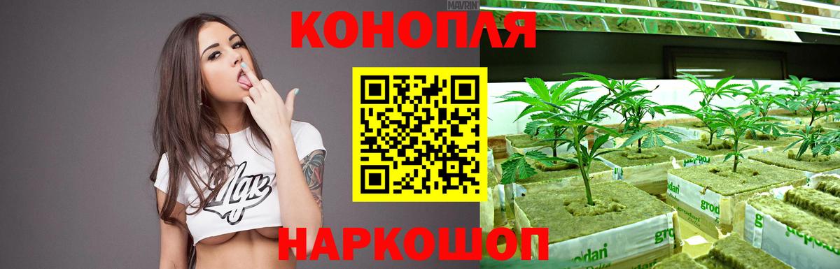 Шишки марихуана AK-47  Бошки Шишки Bruce Banner  Вход с VPN  Бошки Шишки VHQ  Великий Устюг 